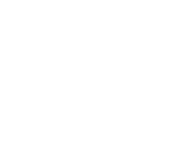 Boragó